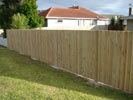 Fence